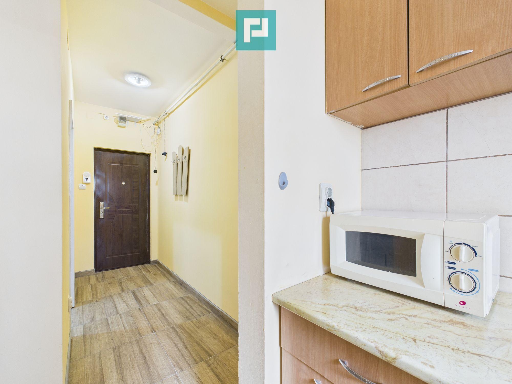 Apartament o cameră zona Podgoria - 2