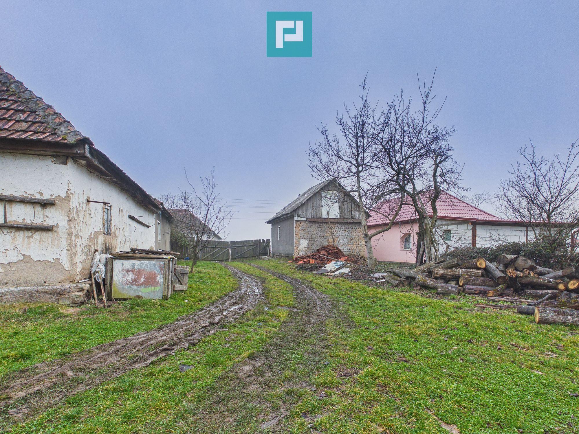 Casă și teren 5.000 mp în Poiana-Tășad, Bihor - 10